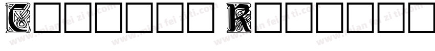 Carrick Regular字体转换
